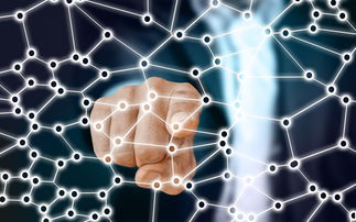 开云体育软件-中国篮球职业联赛市场竞争策略分析，我国篮球职业联赛